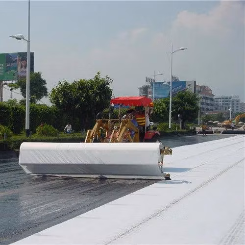 Black/White Color Polyester/Polypropylene Filament Spunbonded/Staple Fiber Needle Punched Nonwoven Geotextile for Filtration, Isolation, Reinformcement