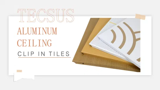 Factory Price Soundproof Aluminum Ceiling for Office Decoration with CE (TECSUS