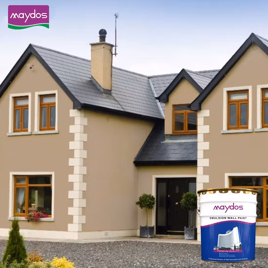 Waterproof Coating Wall Paint for Outdoor Elastic Coating