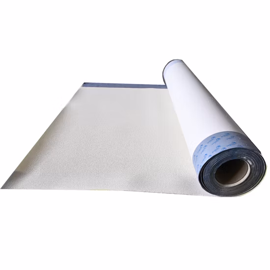 Canlon Mbp